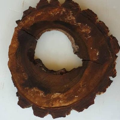 چوب گردو وسط خالی قطر ۳۵